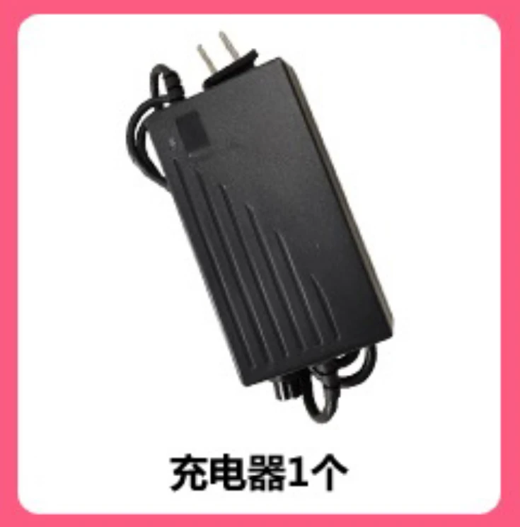 24寸 12A 小型折叠电动车专用充电器