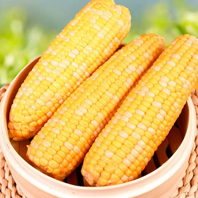 【次日达】即食水果玉米220g*10（非转基因）新鲜水果玉米甘肃省甘肃省临夏回族自治州