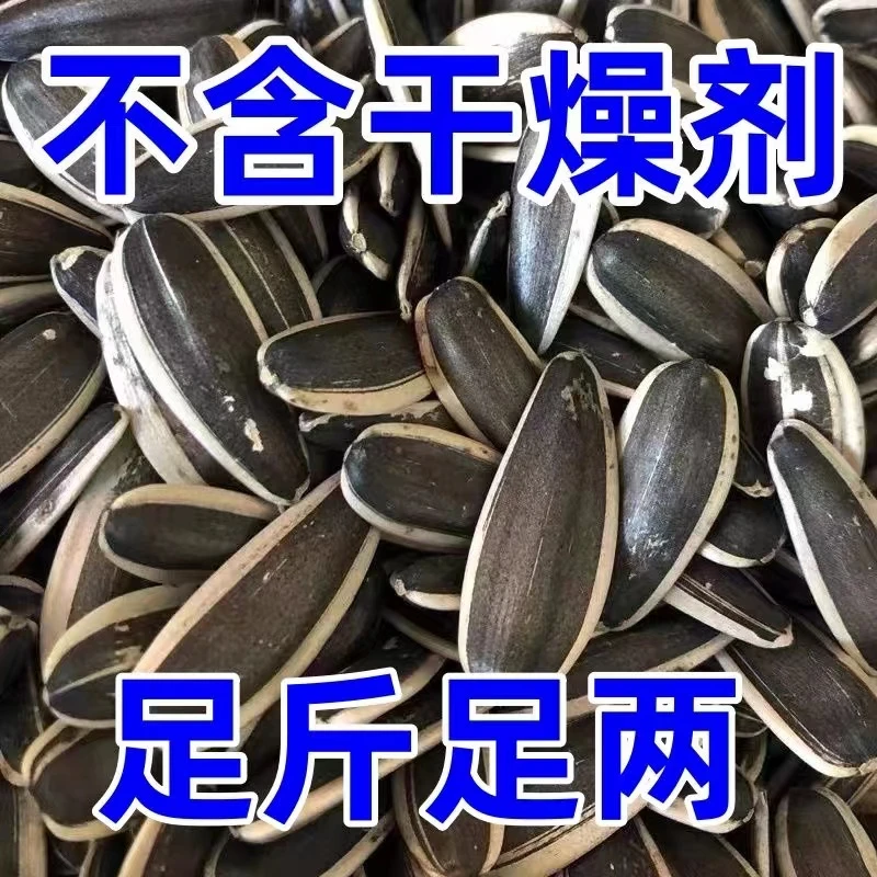 炒熟瓜子批发新鲜大袋原味葵花籽香瓜子净重无干燥剂内蒙零食小吃