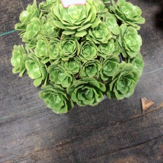 ღ****࿐22号————————-