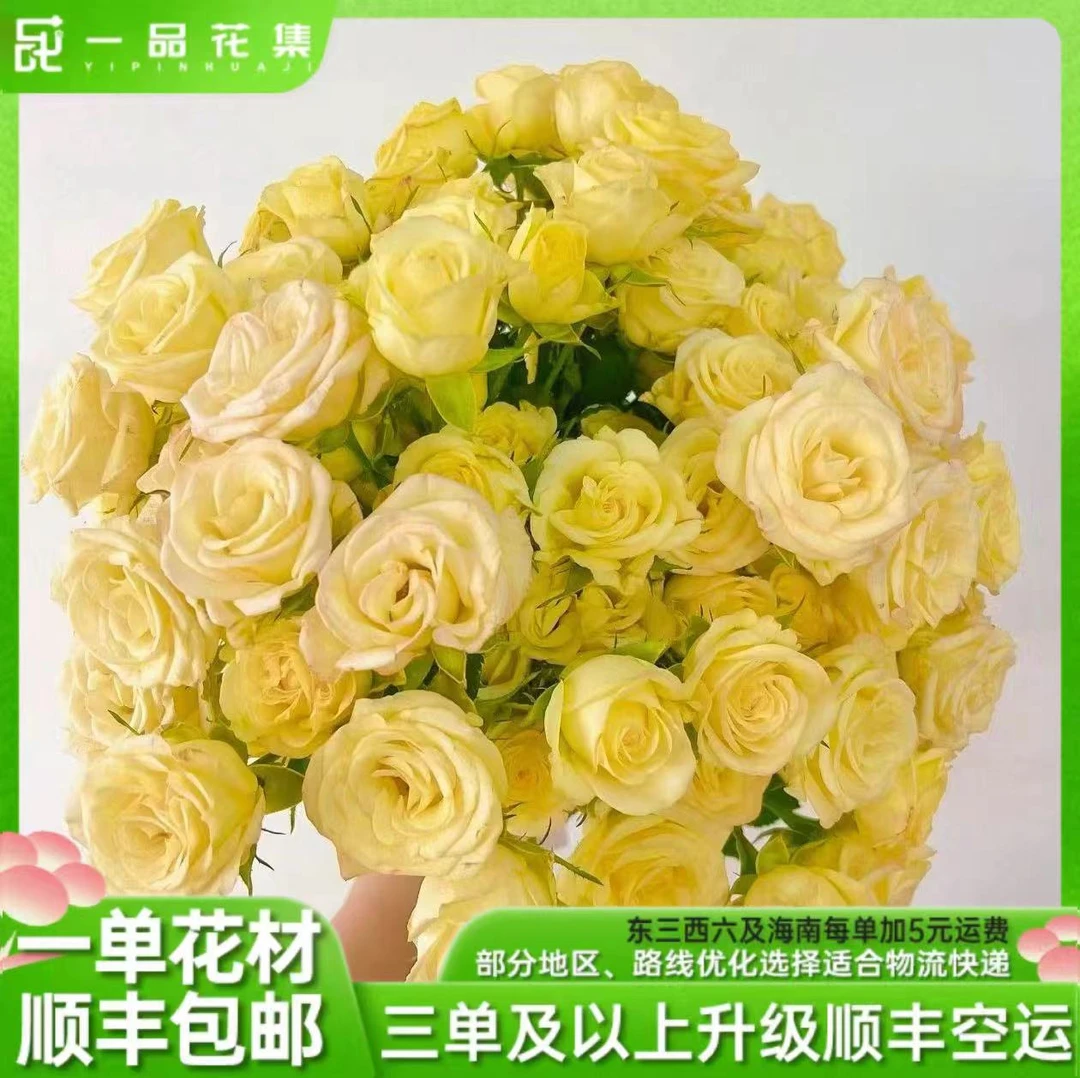 【一品花集】【婚礼邀请】超稀有多头玫瑰 全场满1单包邮