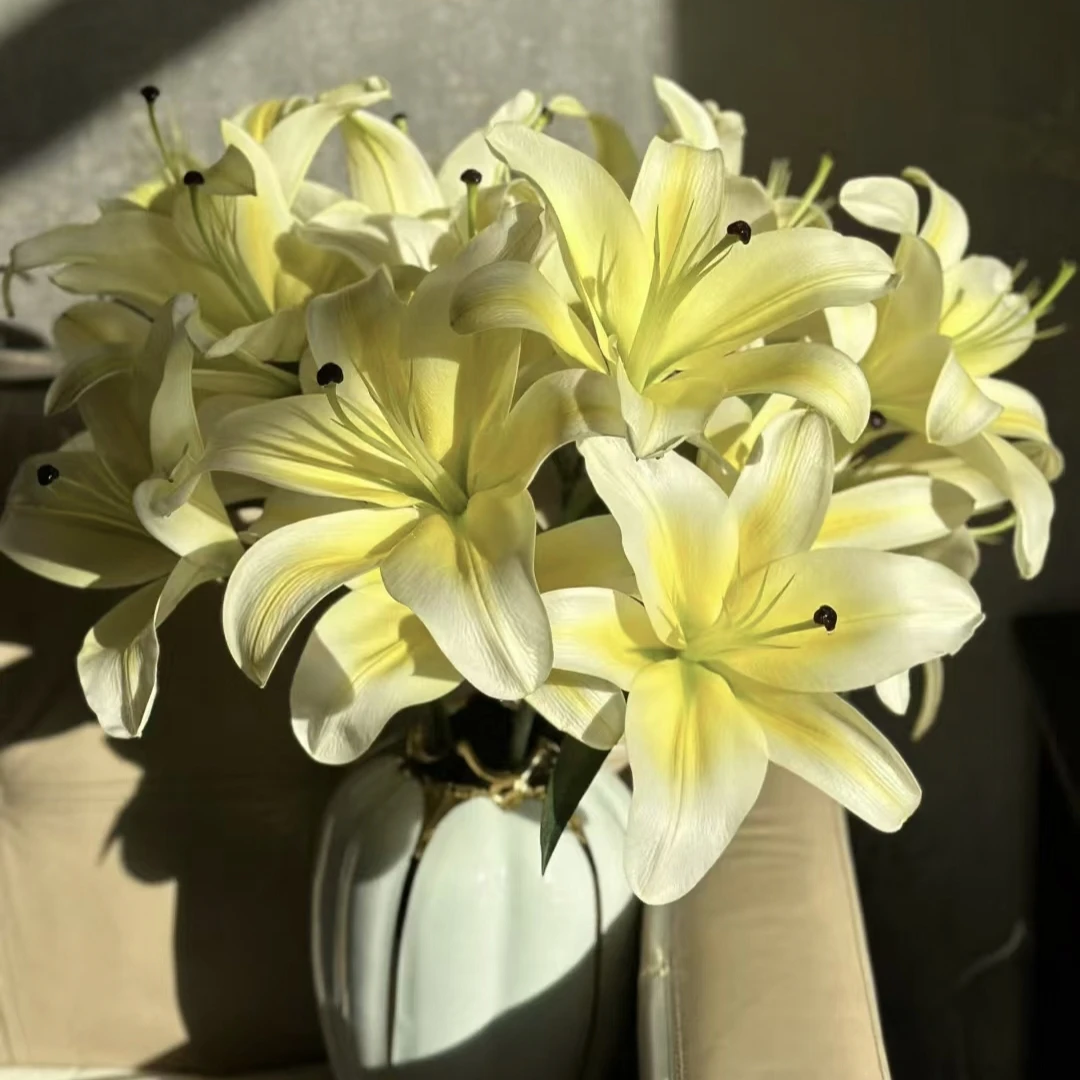 【一品花集】【黄天霸】单瓣百合主播推荐浓香花期长
