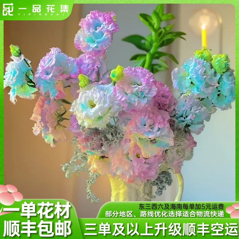 【一品花集】【缤纷洋桔梗】稀有梦幻吸色彩色桔梗 一单包邮