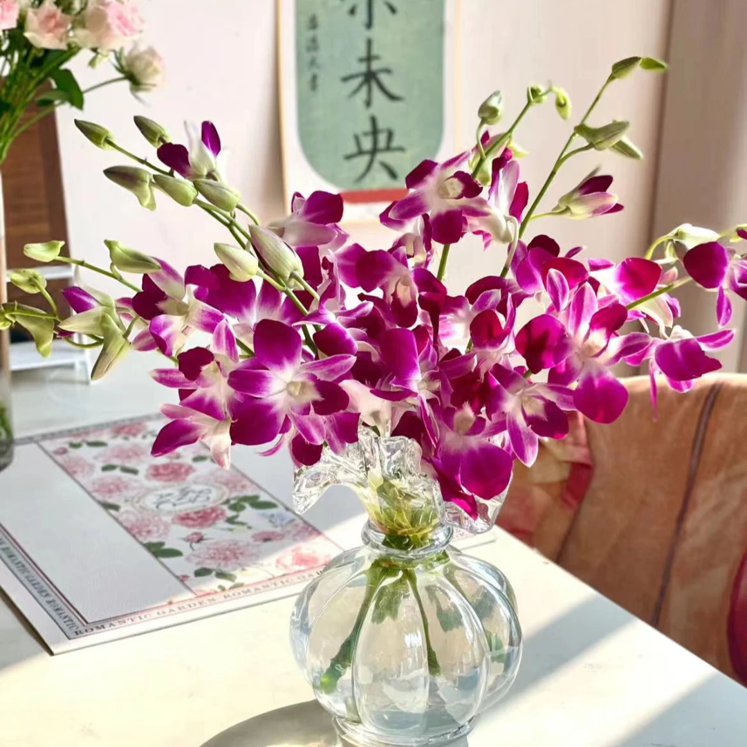 【一品花集】【紫色洋兰】鲜切花 云南昆明基地直发家用鲜花