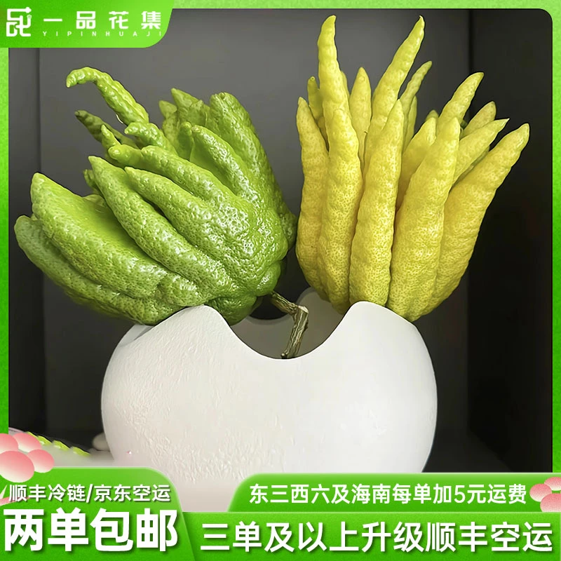 【基地直发】莲形佛手【佛手柑】 造型不指定  全场任意两单包邮