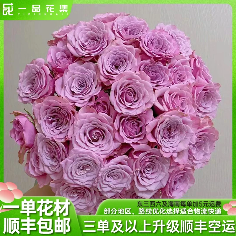【一品花集】【诺拉】 多头玫瑰花 鲜切花 保鲜一单顺丰包邮