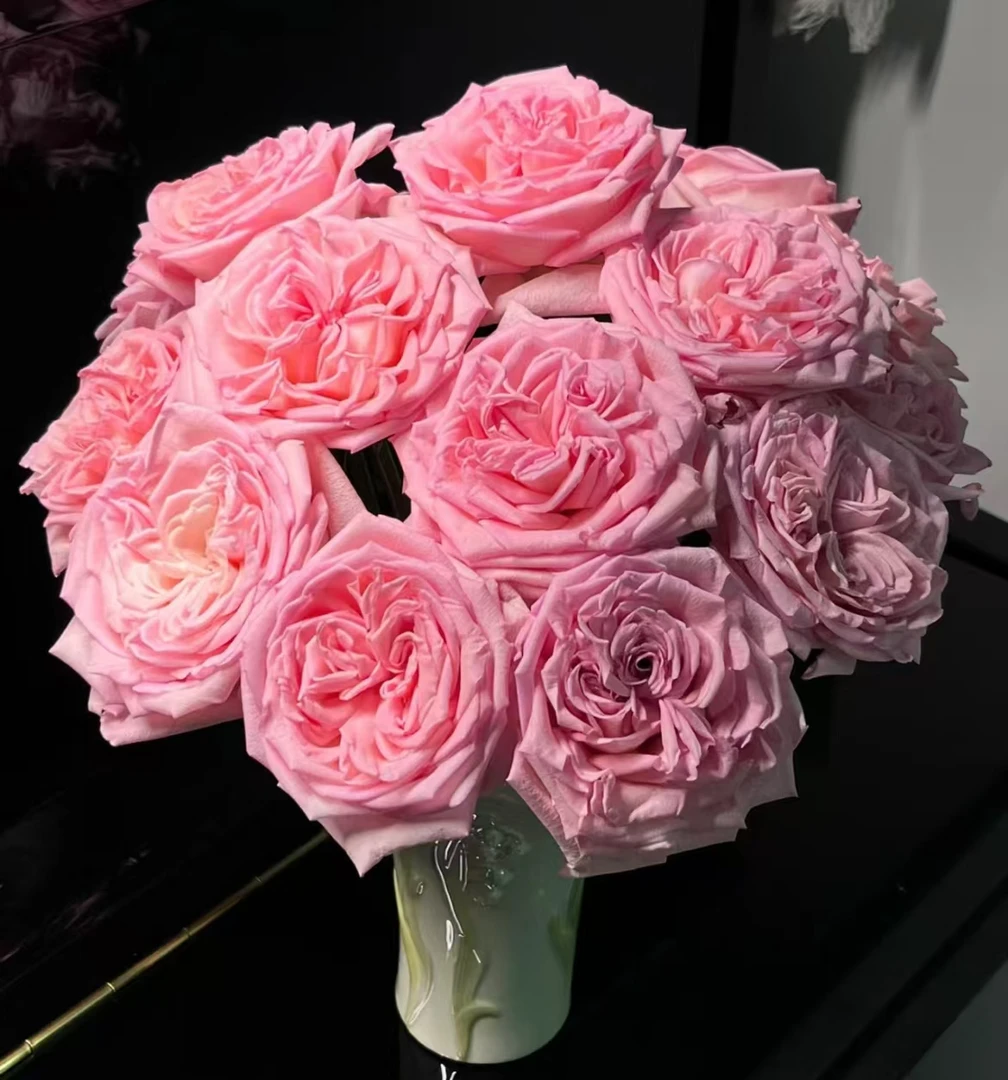 【一品花集】【香水宝塔】单头玫瑰（注意：记得带包装醒花哦~）