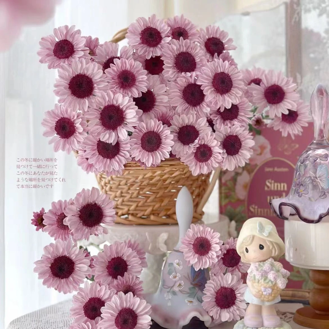 【一品花集】【乌梅紫酱】小菊鲜切花精选冬季推荐全场满一单顺丰包邮