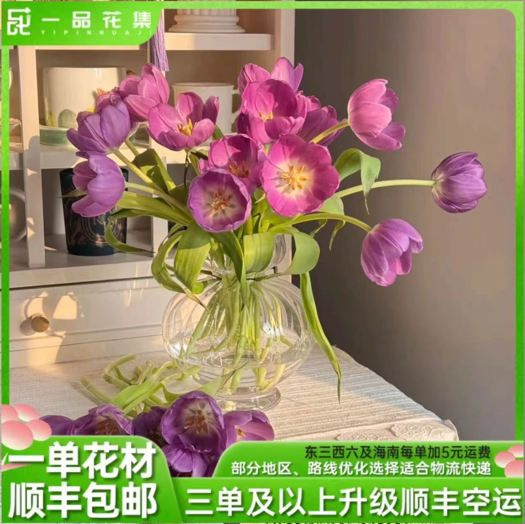 【一品花集】【幽梦】郁金香稀有全场满一单顺丰包邮