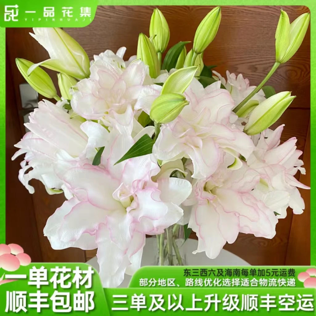 【一品花集】（树）冰美人重瓣百合【不包上色】全场任意鲜花满一单包邮