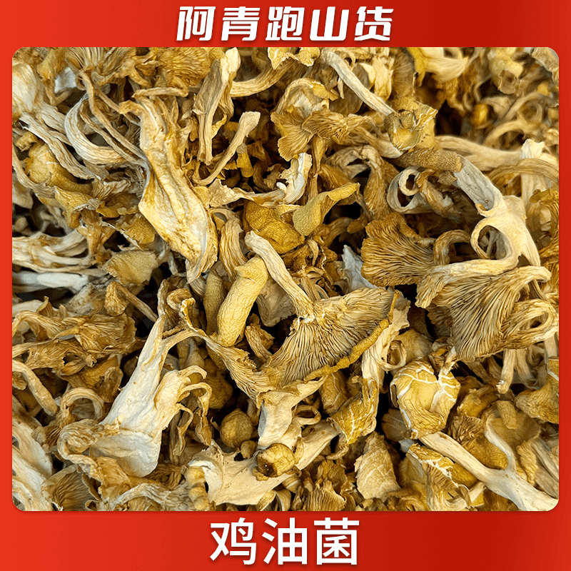 山野食品农产品 鸡油菌