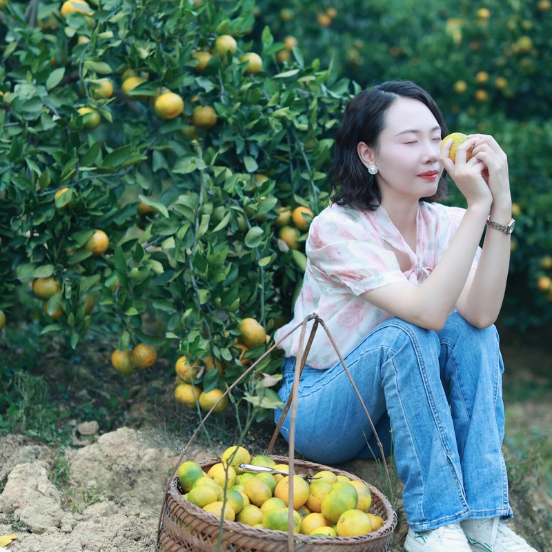 【洞口雪峰蜜橘】园艺场桔子无籽皮薄多肉水分多入口口感好现摘现发
