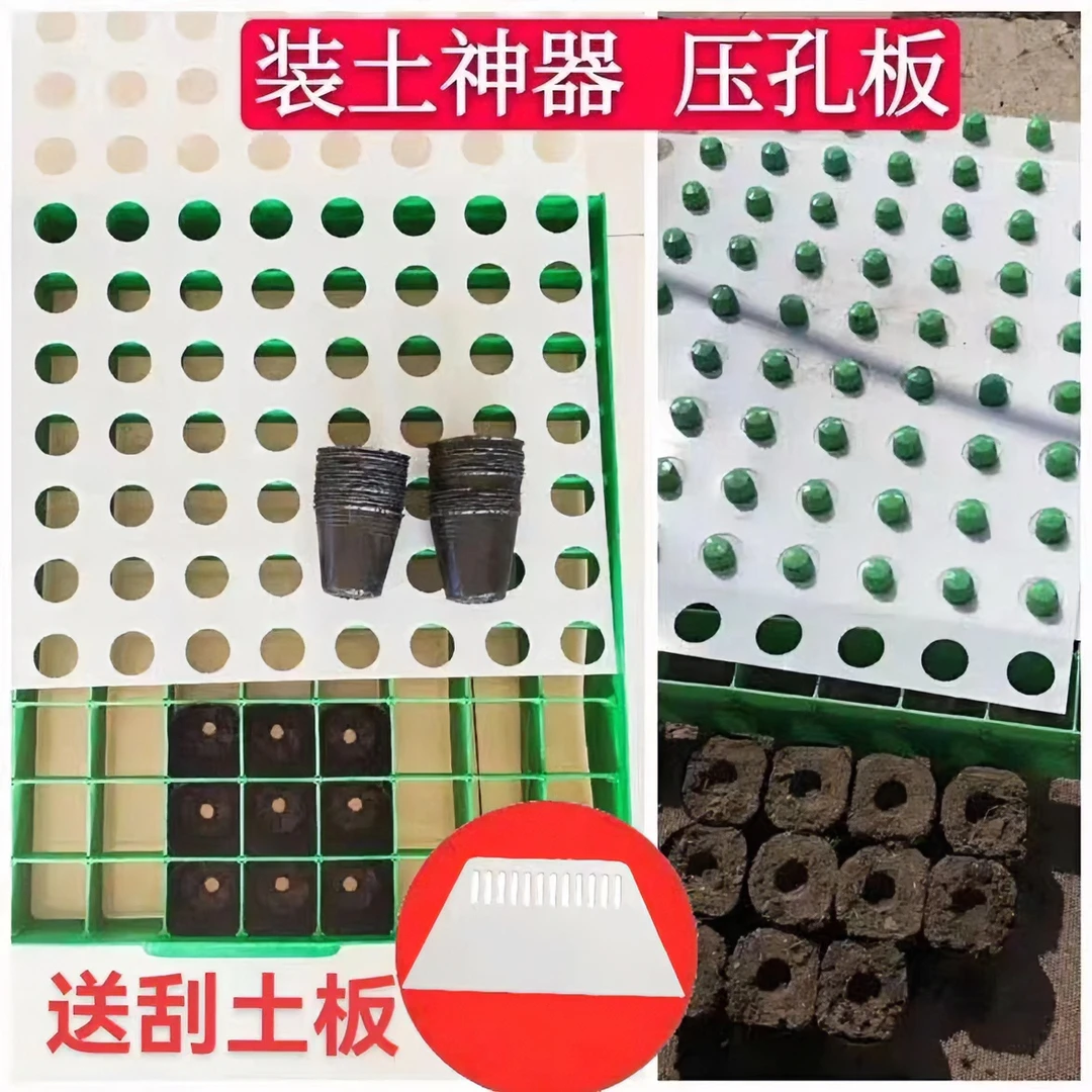 装土神器赠刮土板育苗神器育苗杯小孔适用压孔板控土胶圈