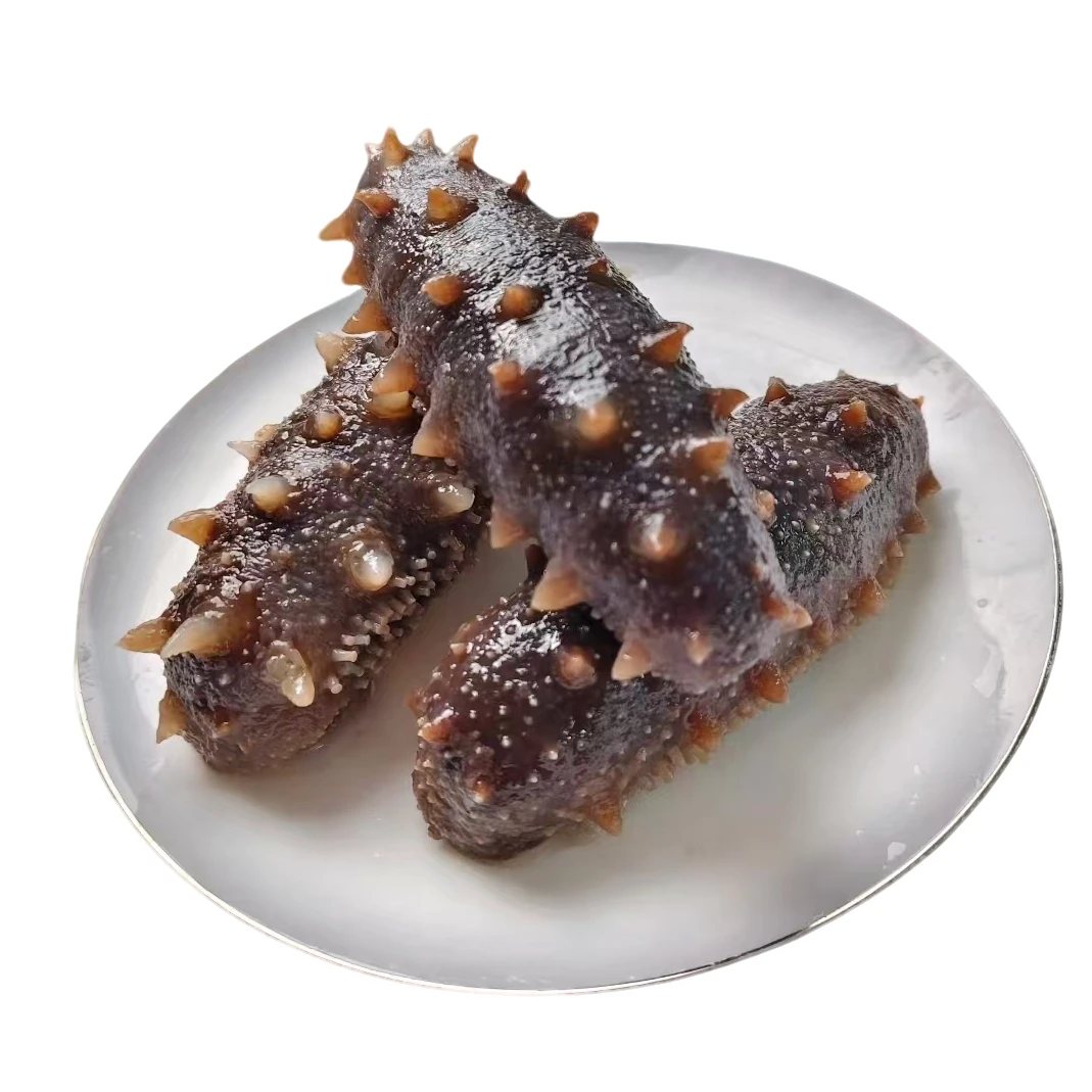 大连辽刺参6-7头即食海参1500g滋补佳品