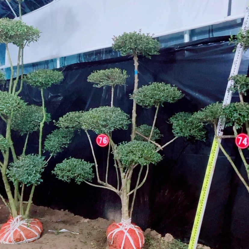 【闪购商品】一物一拍