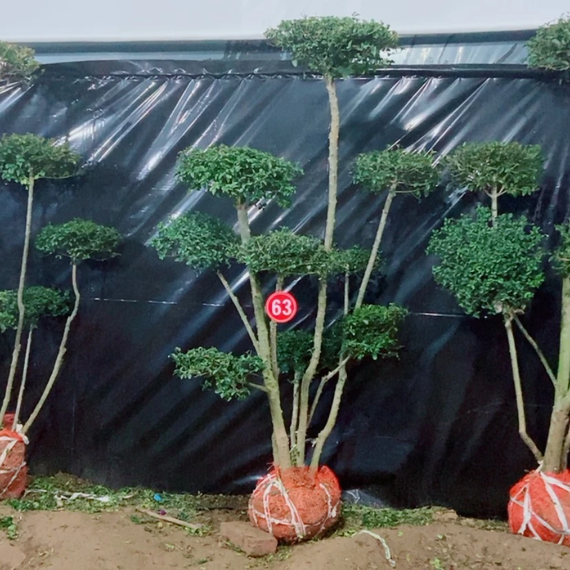 【闪购商品】一物一拍