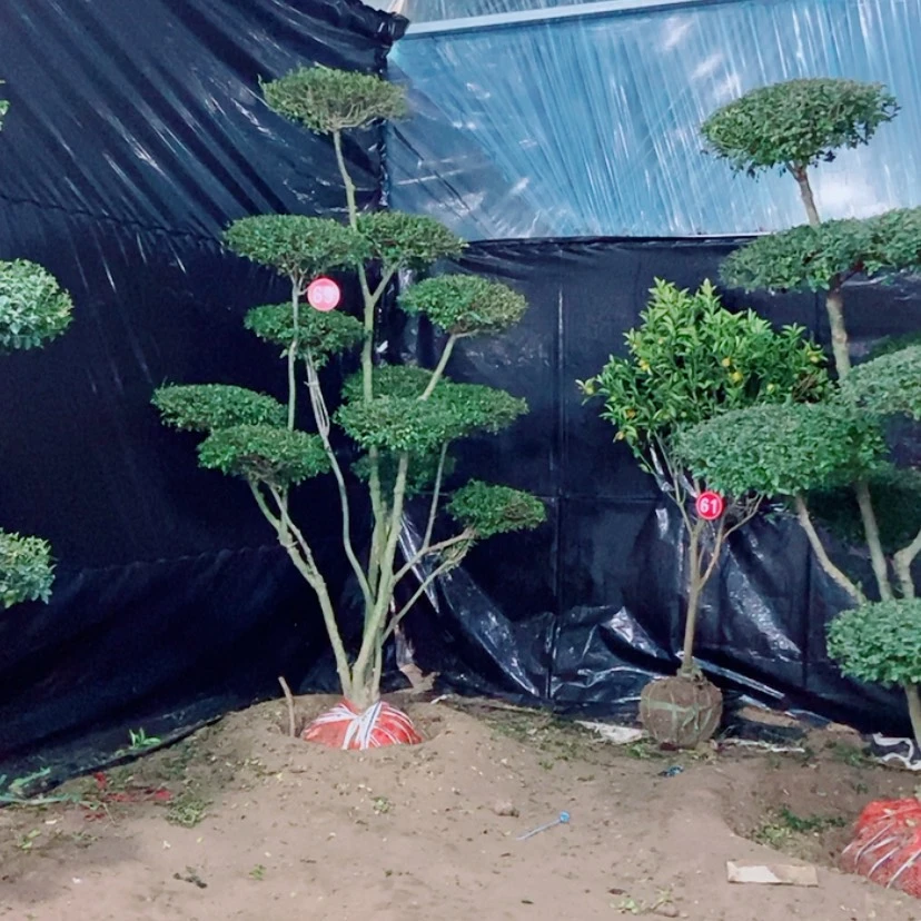 【闪购商品】一物一拍
