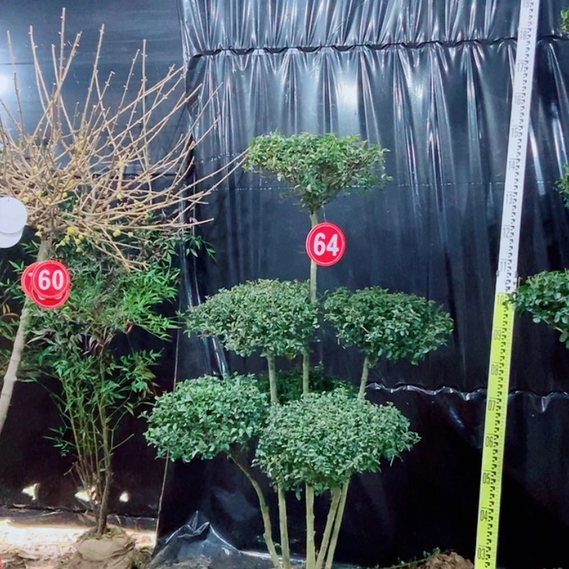 【闪购商品】一物一拍