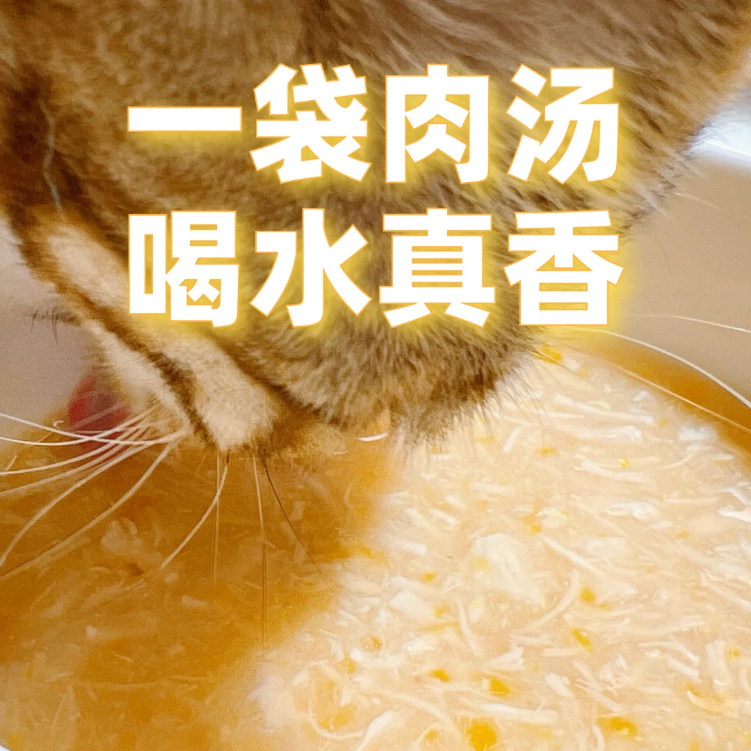 【骗水神器】猫用零食肉汤包，满足一天喝水量，补水又美毛，≥3月可食