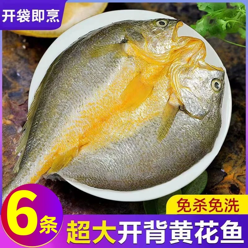 【黄鱼鲞】三去黄花鱼550g-600g 4条-6条免杀免洗新鲜冷冻一袋一条