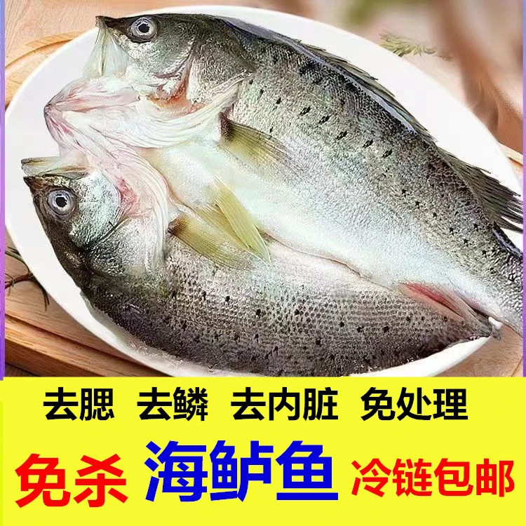 （一条600克左右4条）活冻三去开背鲈鱼去腮去鳞去内脏鲜嫩