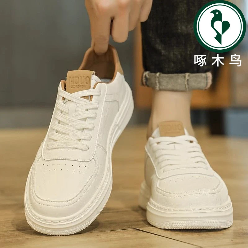 【啄木鸟】正品潮流板鞋休闲百搭秋季男鞋男款新款透气2025运动男