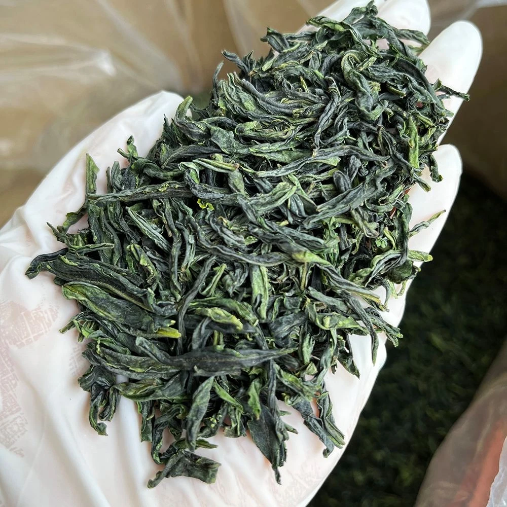B01【六安瓜片】安徽六安瓜片绿茶 内山茶栗香滋味浓郁 回甘甜好茶