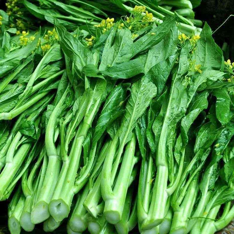 【全店满5包包邮】四季甜菜苔/红菜苔/白菜苔种子种植蔬菜种