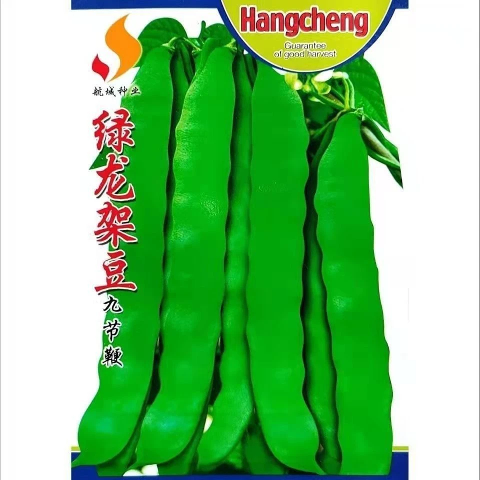 【全店满5包包邮】高产宽扁芸豆种子无筋架豆种子三扁二扁豆角种四
