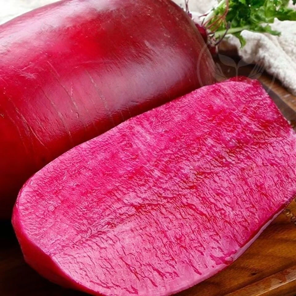 【全店满5包包邮】凤梨红心水果萝卜种子心里美萝卜种籽满堂红春