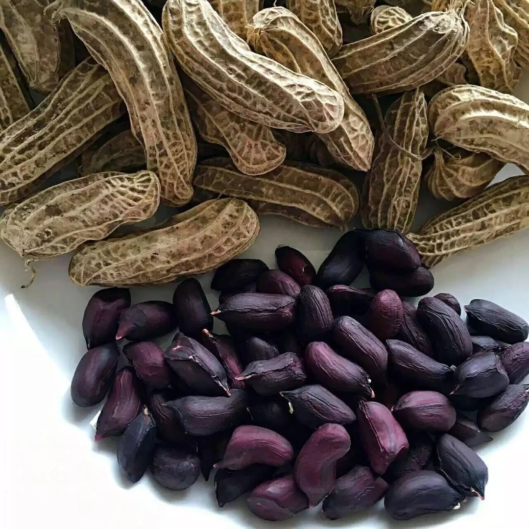 云南土特产（一物一拍）黑花生富硒花生1000g食用农产品