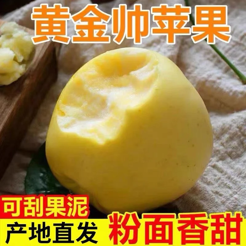 正宗丰县大沙河黄金帅苹果