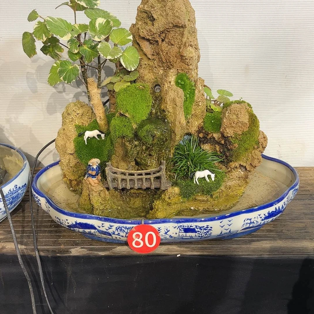 红陶20CM（含）-50CM（不含）用****7不含盆