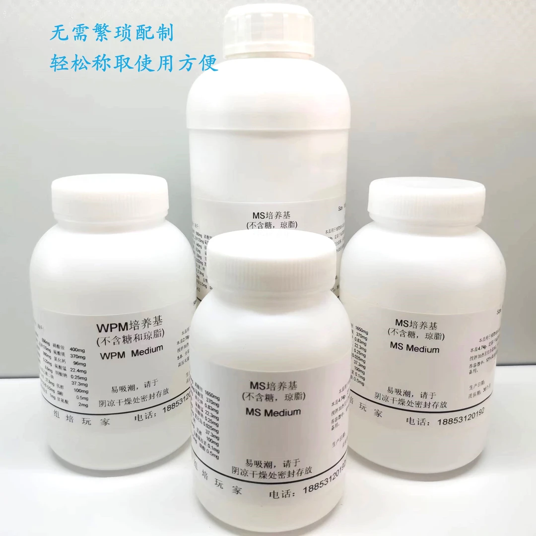 MS干粉培养基不含糖及琼脂粉WPM干粉培养基植物组培固体培养基