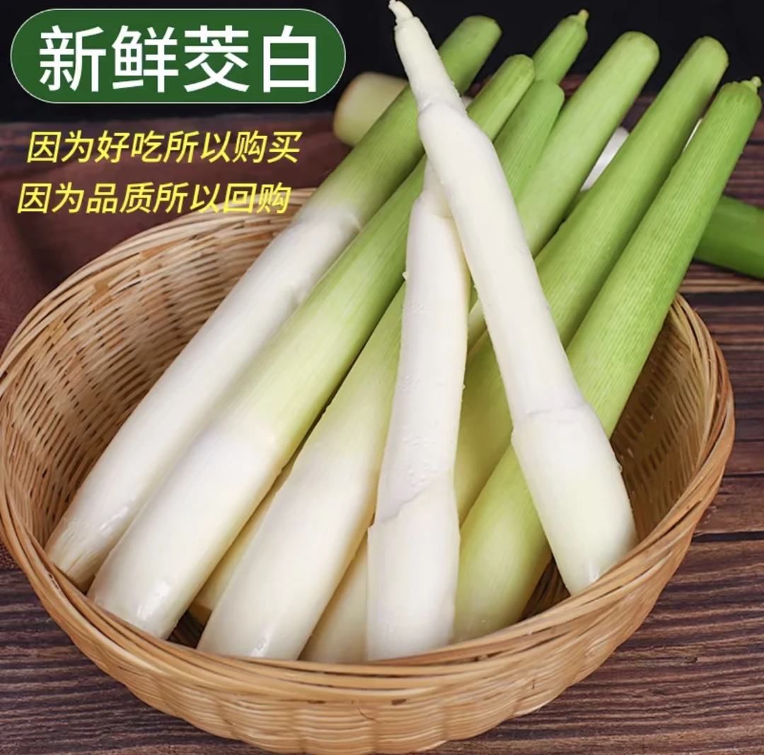 天津本地茭白 现采现发 当季新鲜蔬菜 京东顺丰包邮