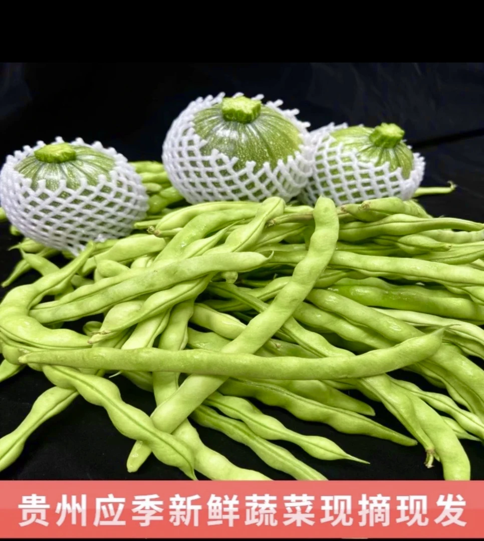 贵州农家露天种植新鲜四季豆/小瓜肉厚无筋现摘现发加冰袋发货