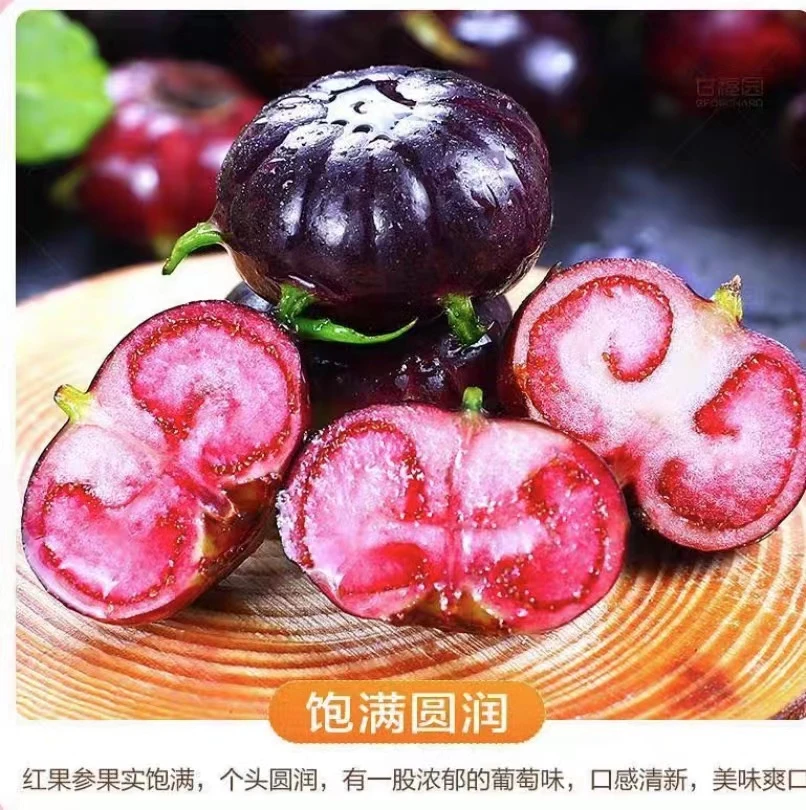 【中通冷链包邮】云南蜘蛛果现摘现发新鲜红果参生鲜水果125克*盒