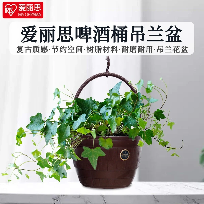 IRIS/爱丽思树脂吊盆垂吊花盆养花悬挂式吊兰盆复古装饰室外挂盆