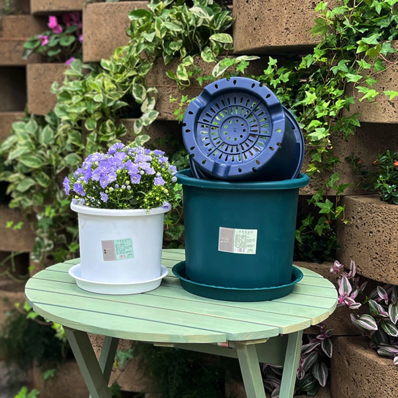 【买5送1】特价款花博士花盆 透水加厚树脂盆阳台种花月季绣球盆