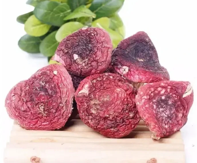 【宸耀臻品】河南红菇 圆润 鲜甜 无沙