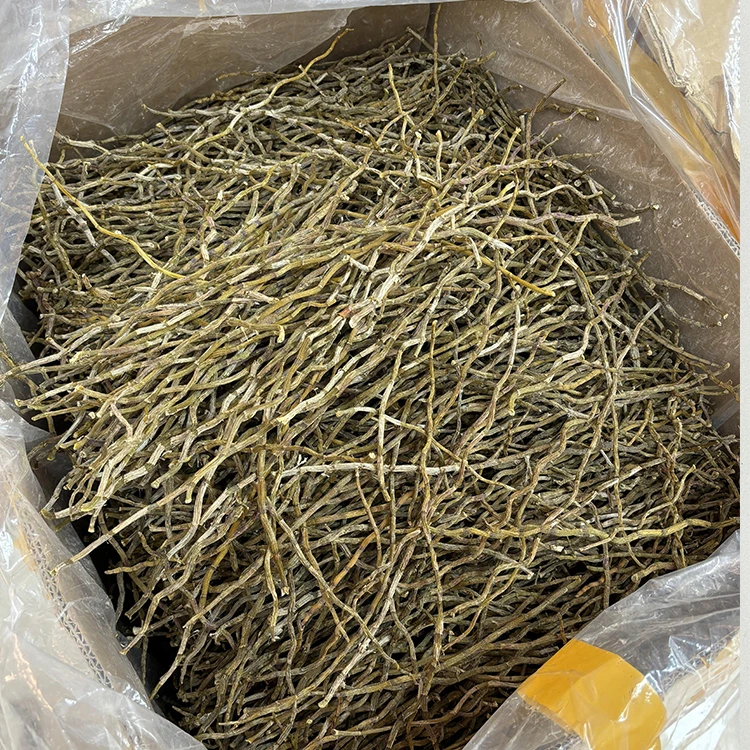 铁皮石斛条干品煲汤煮水胶质饱满