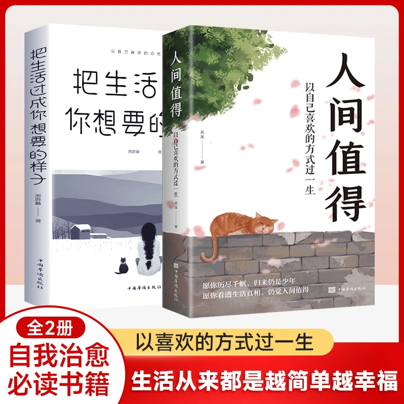 【正能量励志】人间值得 以自己喜欢的方式过一生 生活情绪管理书籍