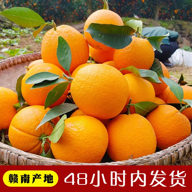 【产地直发】赣南脐橙10斤应季新鲜当季脐橙甜橙手剥橙3斤整箱橙子