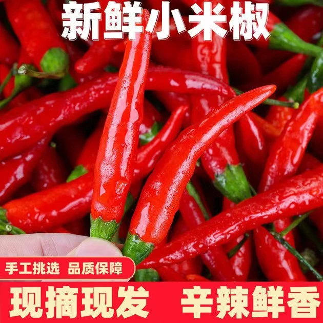 小米椒新鲜现摘小米椒辣特辣朝天椒超辣薄皮椒指天椒红皮椒包邮9