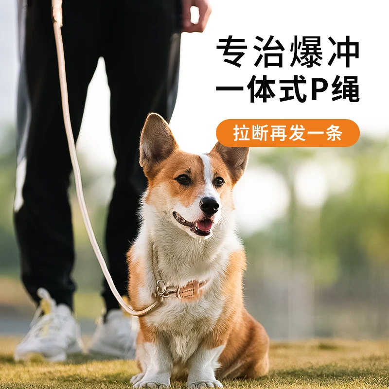 狗狗绳子防爆冲P链遛狗牵引绳防挣脱狗链子中大型犬防爆冲拴狗绳