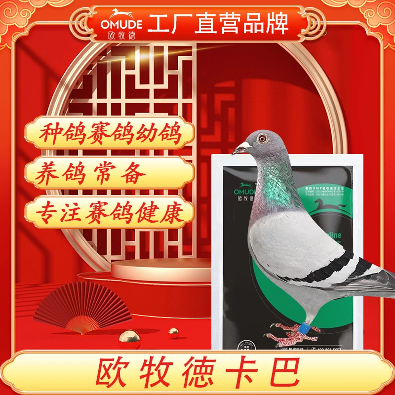 欧牧徳卡巴信鸽赛鸽观赏鸽肉鸽可用