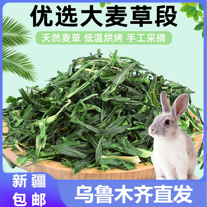 新疆包邮兔子草大麦草段牧草兔饲料兔食豚鼠荷兰猪优质大麦草500g