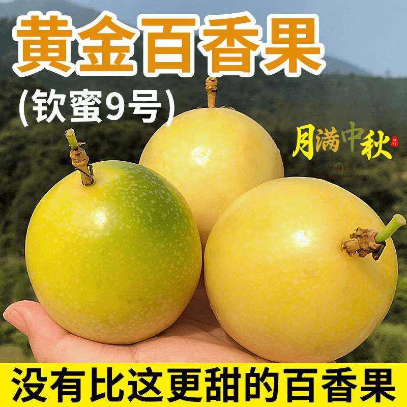 新鲜现摘广西钦蜜黄金百香果营养饱满产地酸甜多汁口感采摘美味