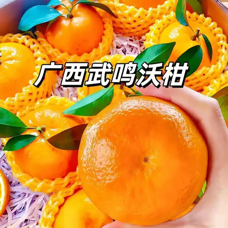正宗广西武鸣沃柑l老树花皮果