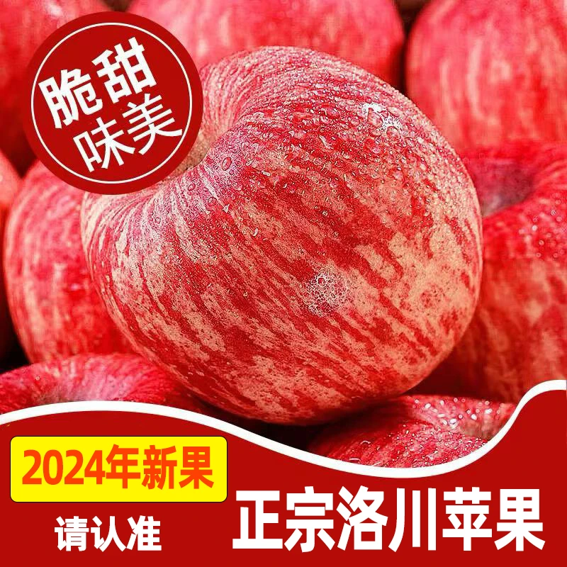 2024年正宗洛川苹果红富士脆甜多汁水果原产地直发新鲜采摘现摘